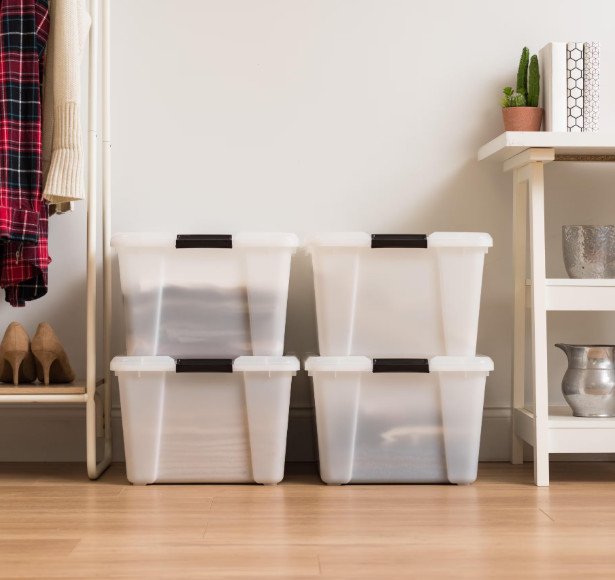 Buckle Up Storage Box in Pearl (4-Pack)