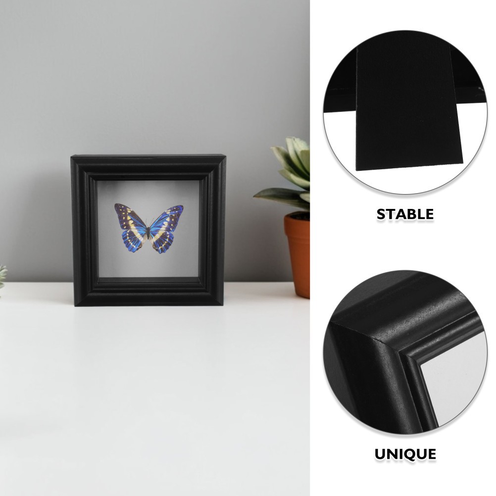 Insect Mounting Display Specimen Frame Collection Picture Butterfly