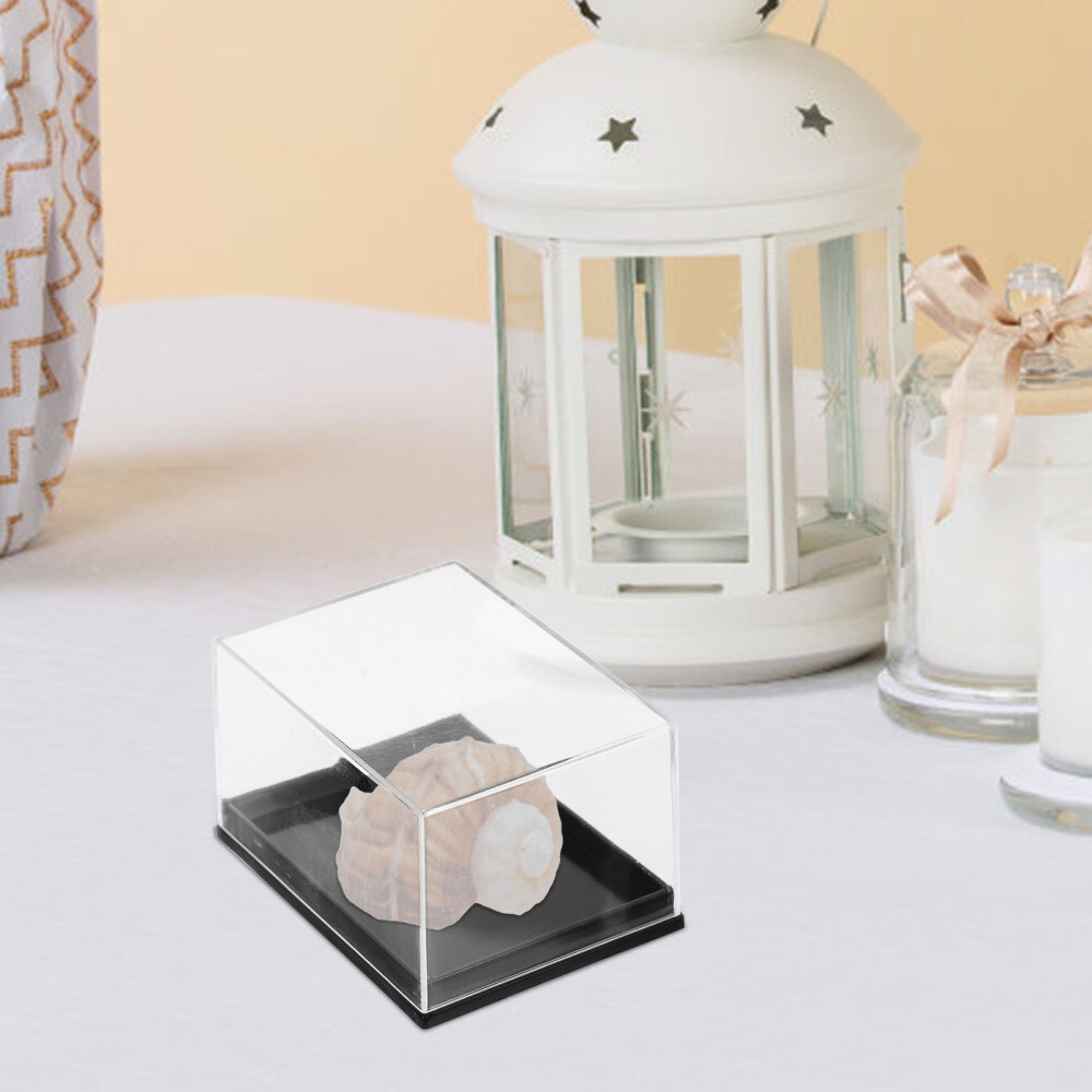4Pcs Mineral Showcase Specimen Display Boxes Display Container Transparent New