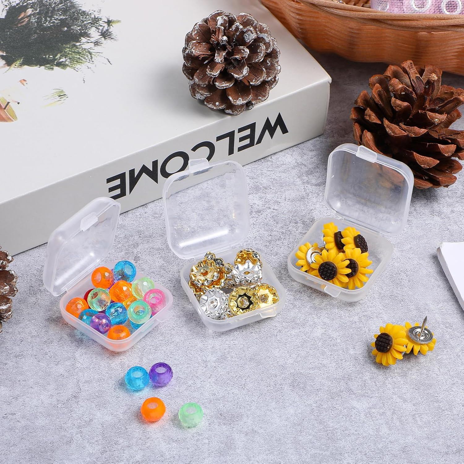 Small Plastic Ear Plug Cases, 10 Pack, Transparent Hinged Storage Box