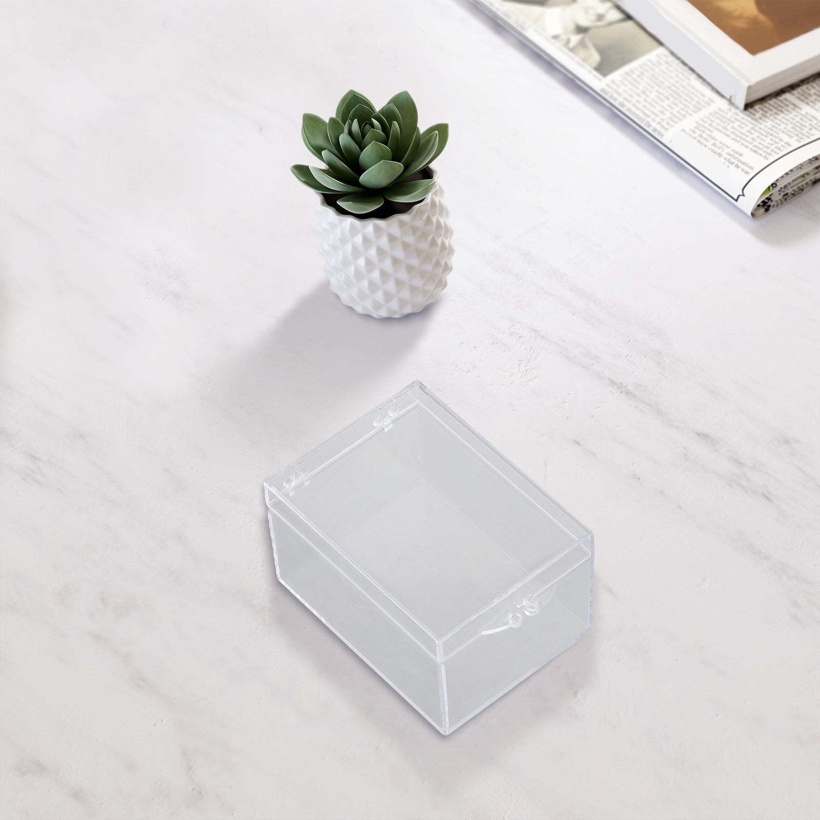 Desktop Storage Box for Clear Plastic Insect Specimen Display and Organization