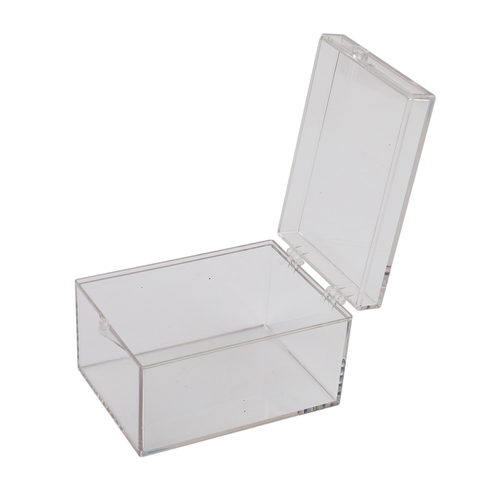 Desktop Storage Box for Clear Plastic Insect Specimen Display and Organization