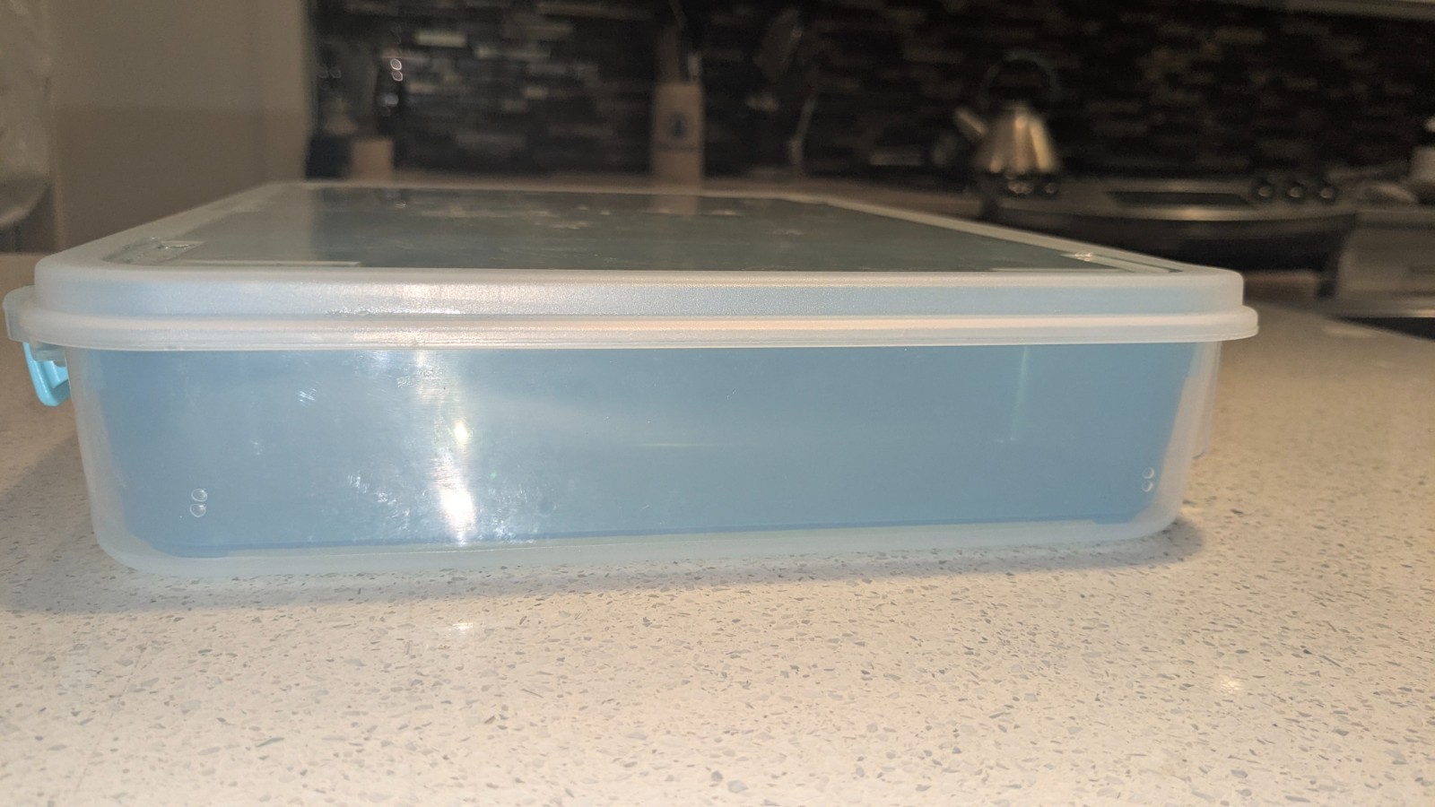 Sterilite Model 1402 Azure Latching Organization Tote with 3 Removeable Sections