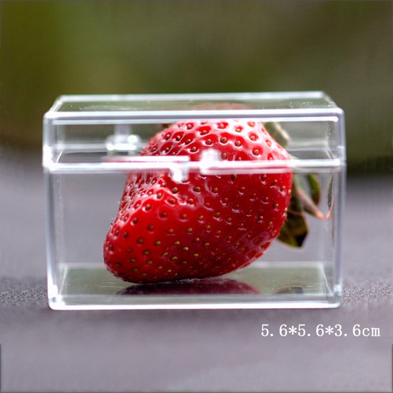 Square Clear Small Plastic Storage Box Jewelry Beads Organizer Case Container
