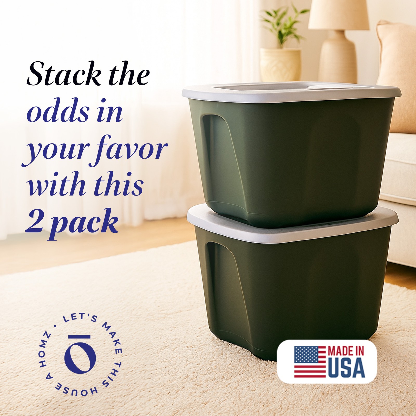 Homz 6610BKTS.10 10 Gallon Molded Plastic Storage Bin with Secure Lid (2 Pack)