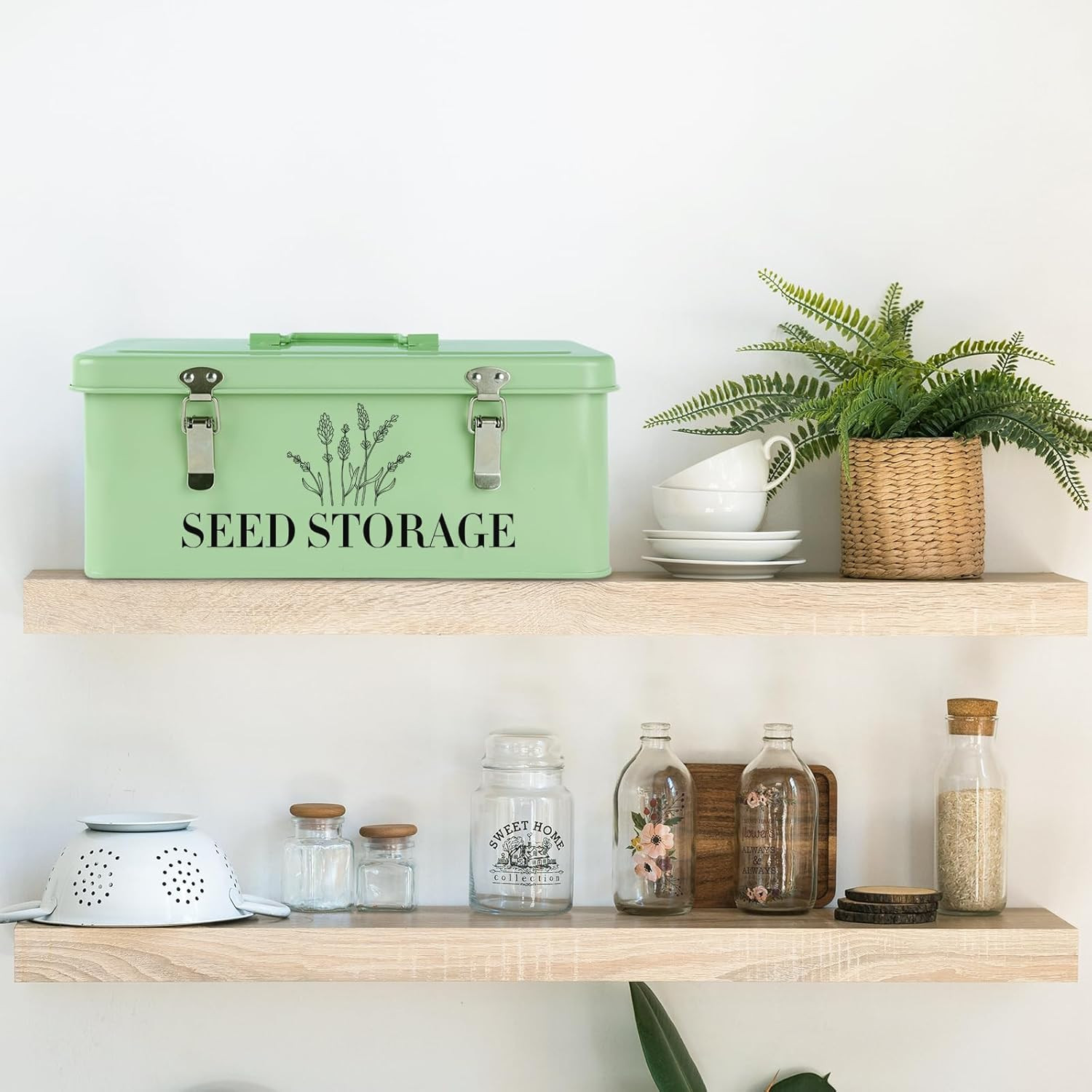 60 Slots Seed Storage Box with 4 Dividers, Metal Seed Storage Organizer Saving B