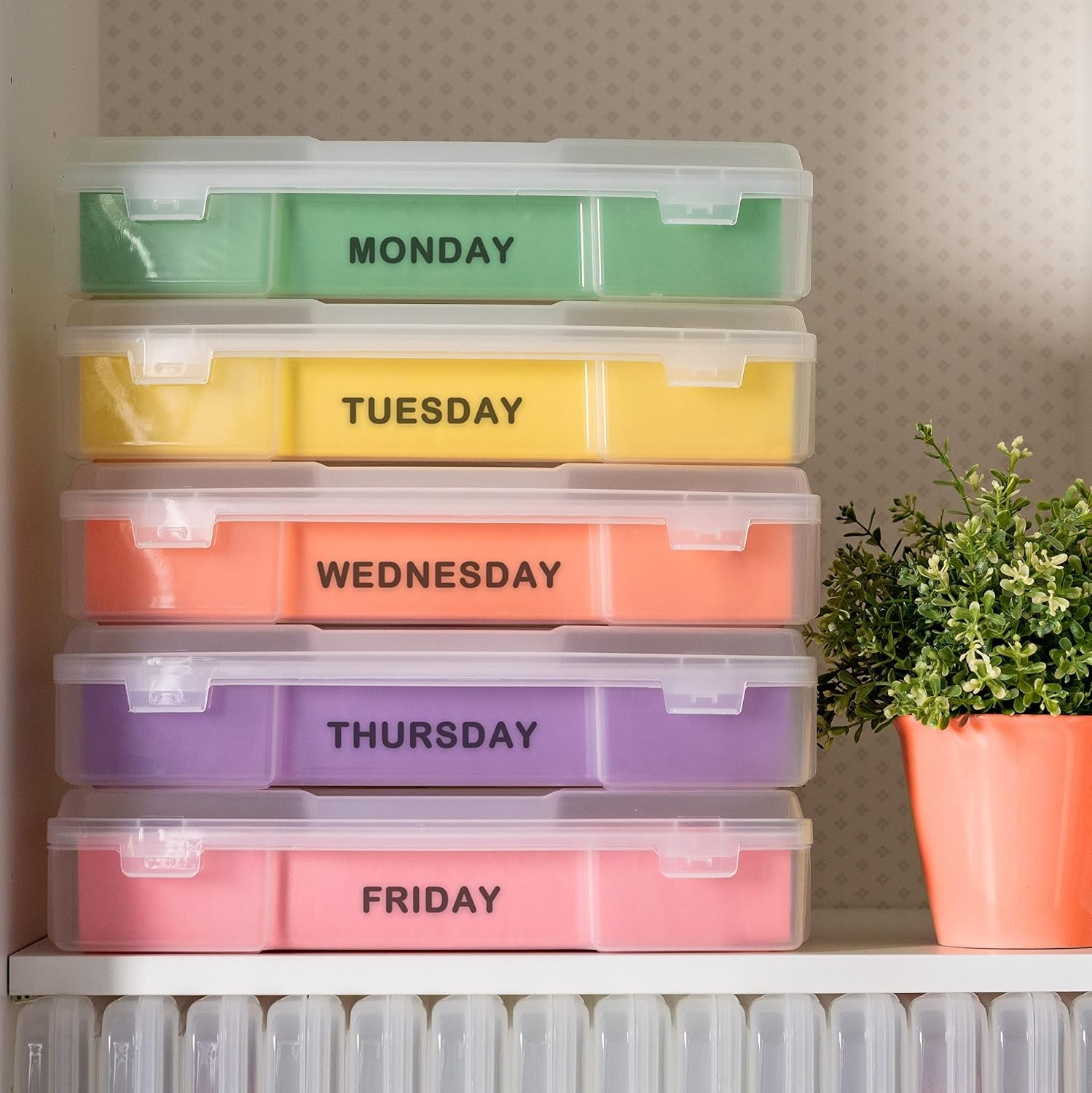 6-Pack Portable Cases for Art Craft Supplies – Clear Plastic