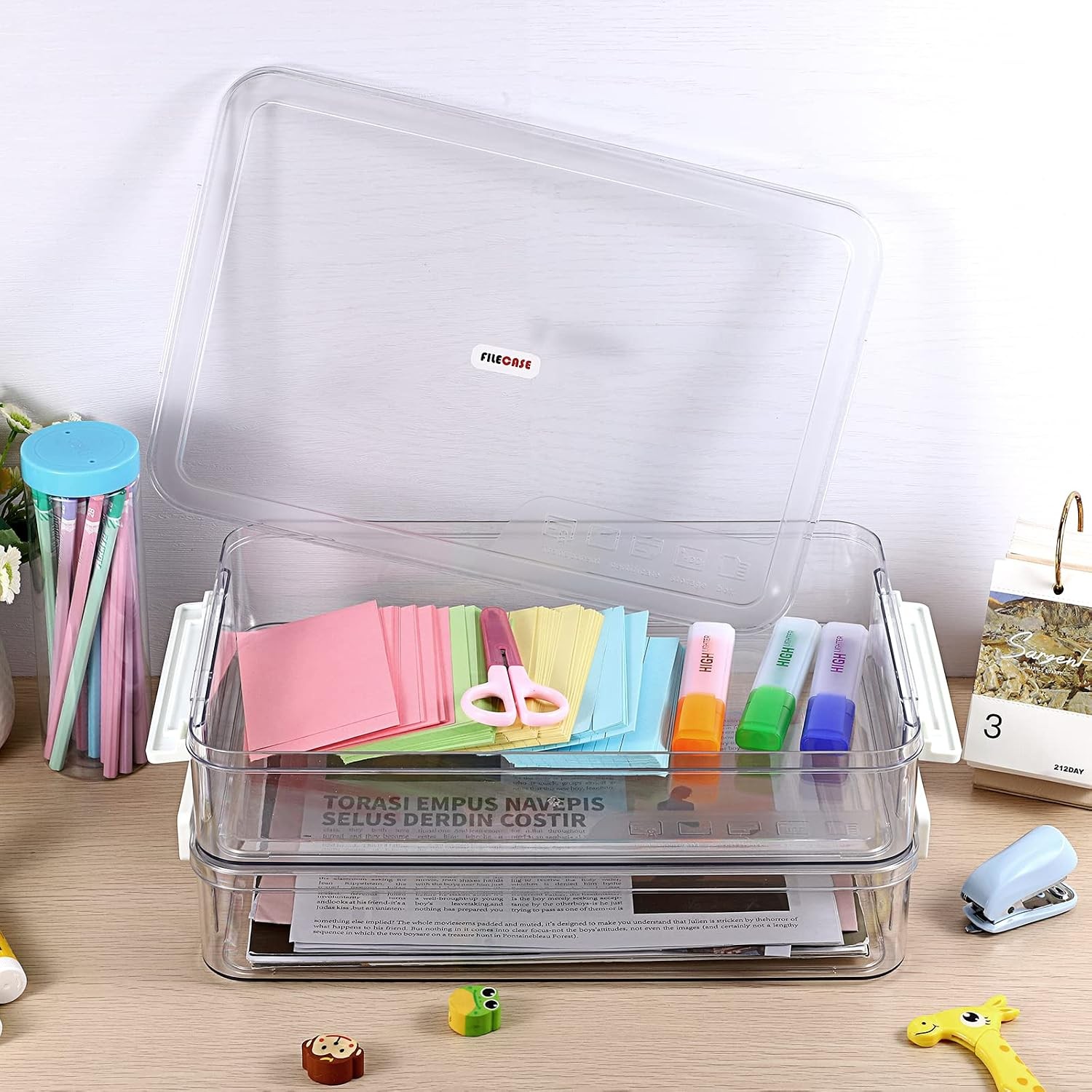 2 Pack Plastic Storage Containers with Lids Portable Project Case Document
