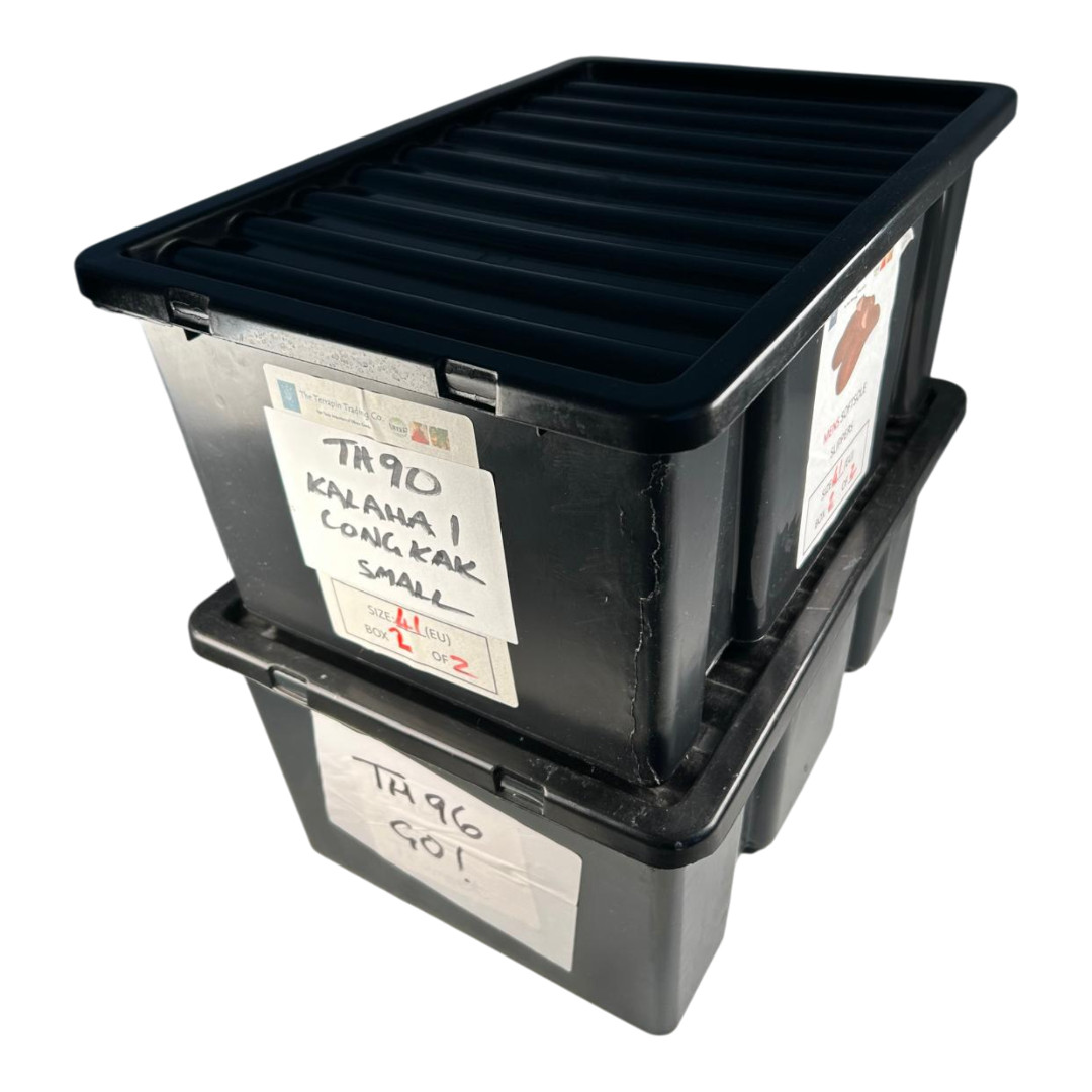 10 x Tall Plastic Storage Boxes + Lids 20L Stackable Value Nesting Bins Used