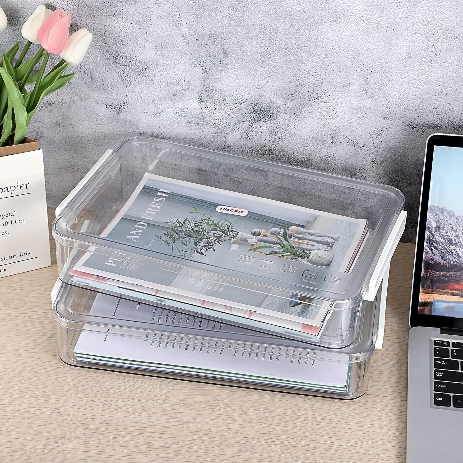 2 Pack Plastic Storage Containers with Lids Portable Project Case Document