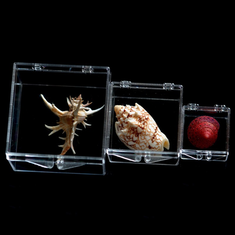 Square Clear Small Plastic Storage Box Jewelry Beads Organizer Case Container