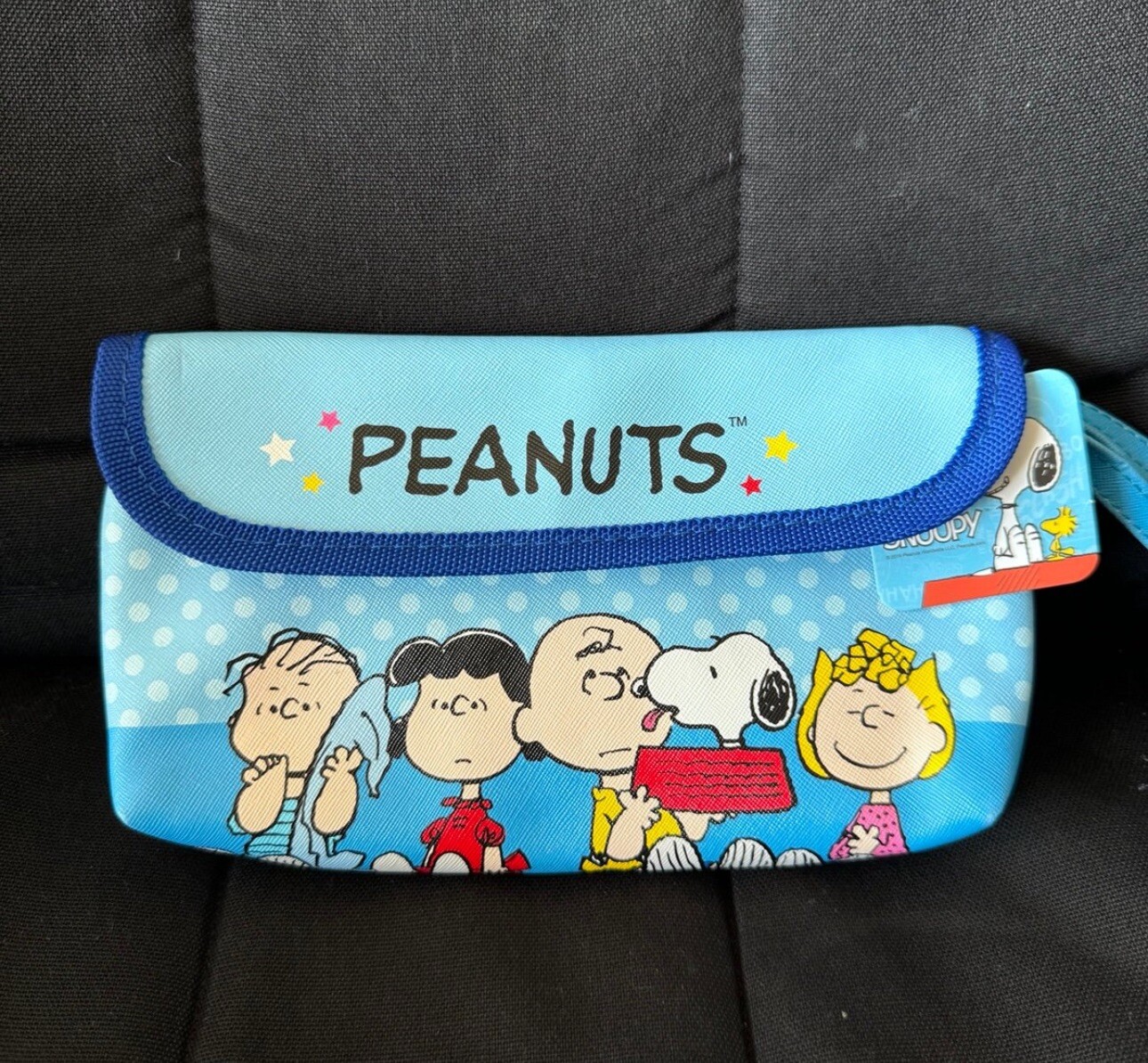Peanuts Snoopy Two Pattern Organizer with Zipper